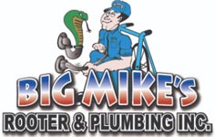 Big Mike's Rooter & Plumbing Company, Inc., CA